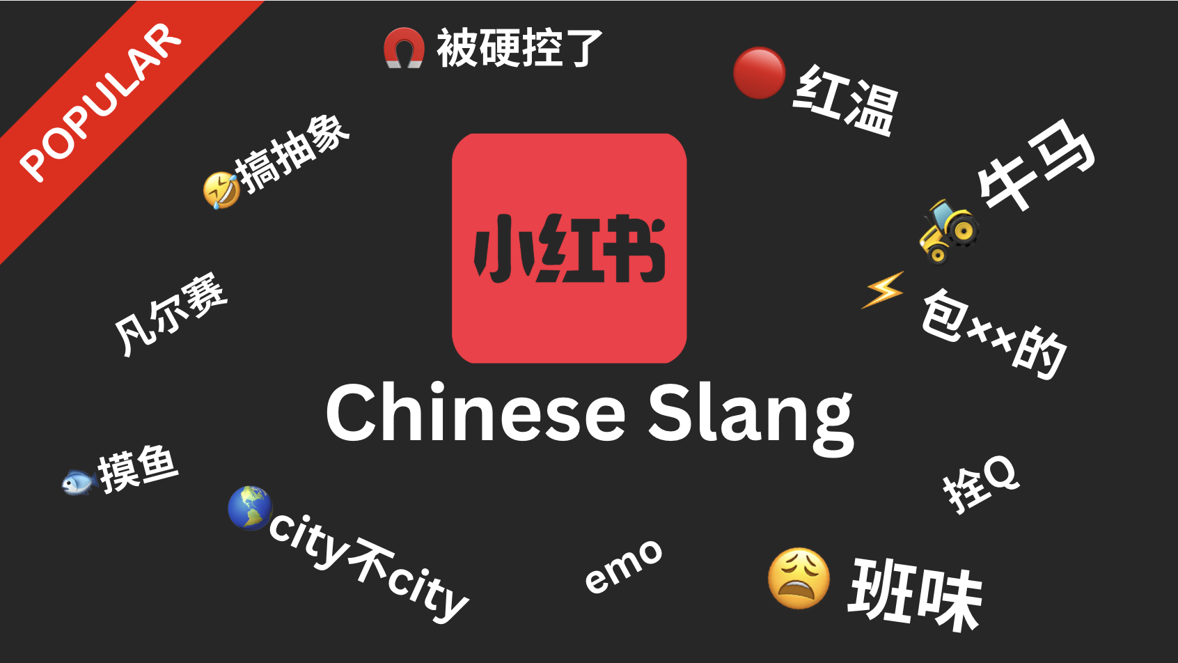 Popular Chinese Slang on the Internet - a guide for TikTok Refugees seeking to understand Chinese Slang on RedNote